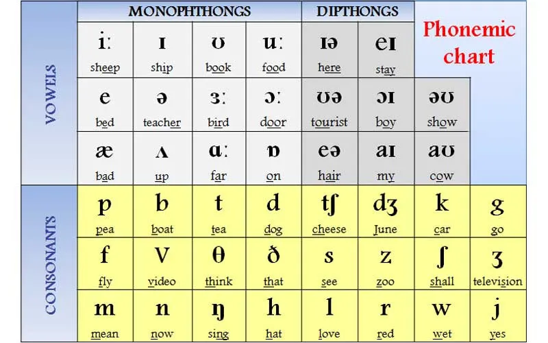 Nắm vững bảng phiên âm tiếng anh chỉ với ít phút