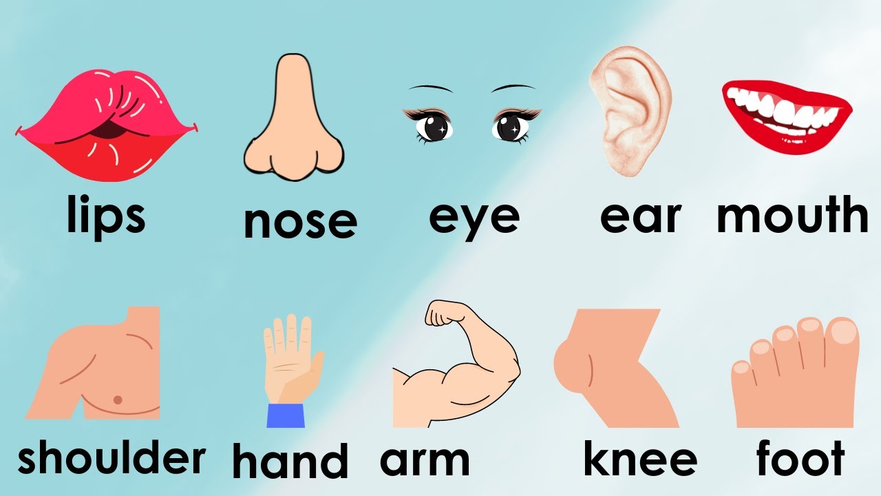 Miệng tiếng Anh đọc là gì? Tìm hiểu chi tiết và ứng dụng