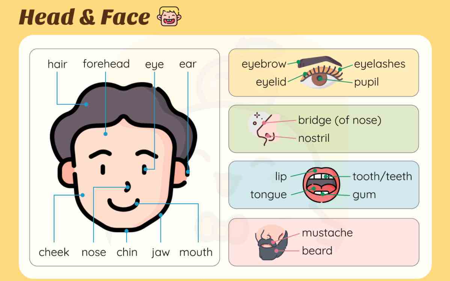 Miệng tiếng Anh đọc là gì?
