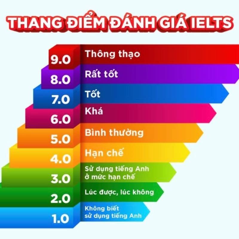 Lộ trình học IELTS cho người mới bắt đầu
