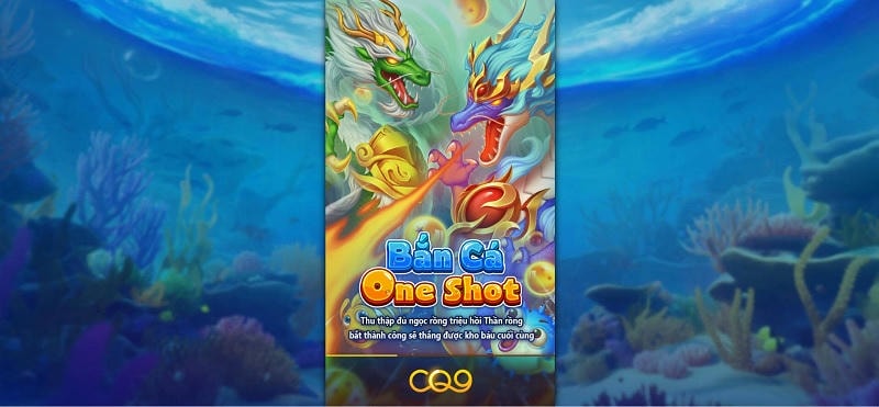 Tổng quan chế độ One Shot